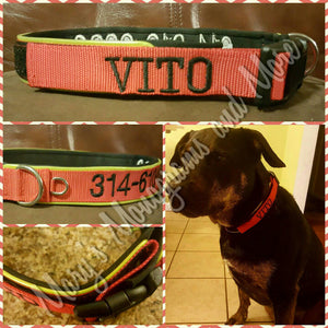 Personalized ID Dog Collar